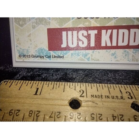 Grumpy Cat Wall Plaque Sarcastic Humor Funny Sign You've Got Problems 2013 Ganz - Picture 4 of 6